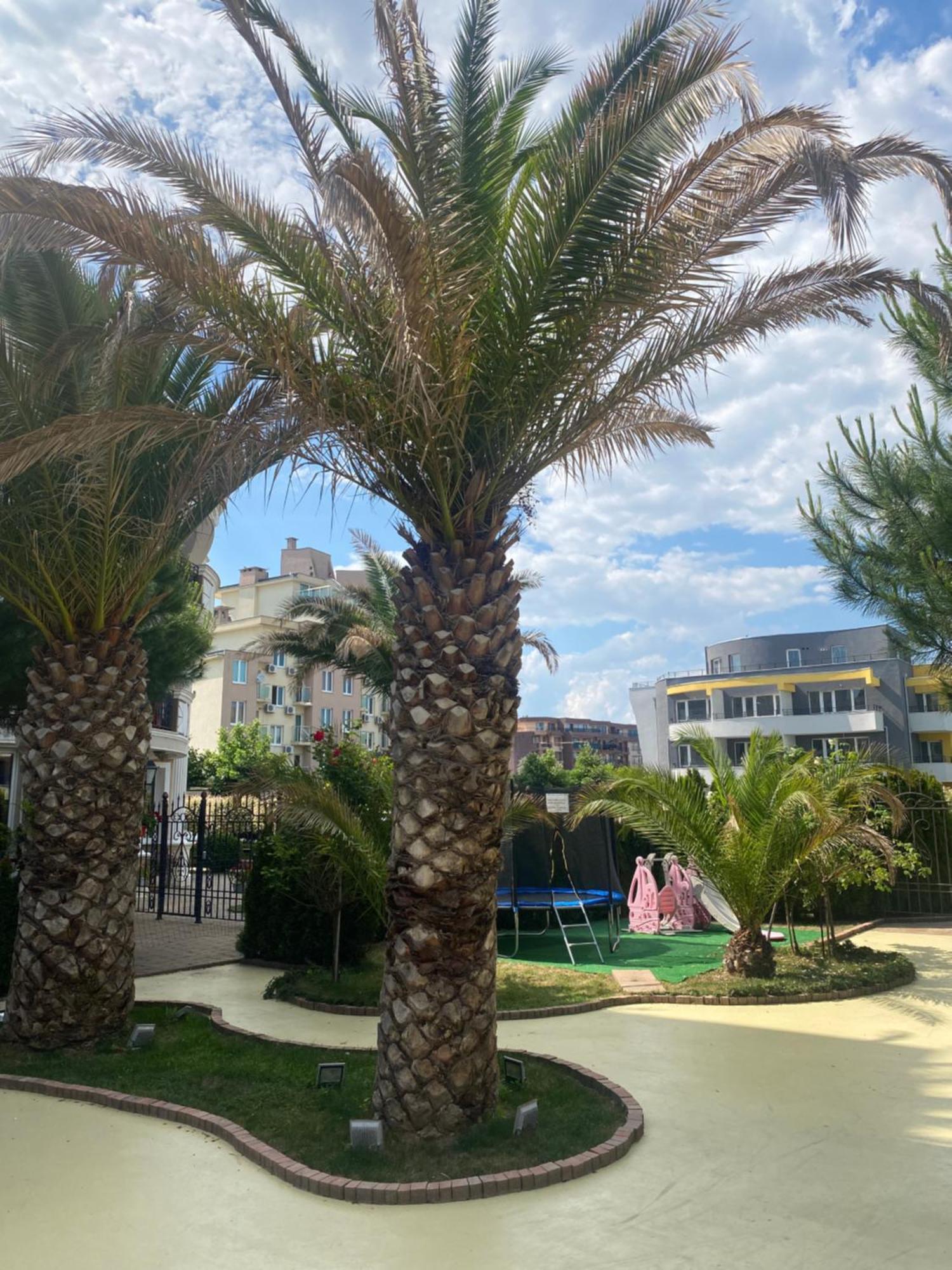Messembria A309 Studio Sunny Beach Exterior foto